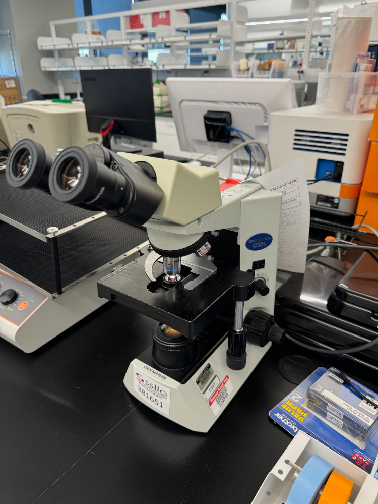 Image of Olympus CX31RBSF Microscope